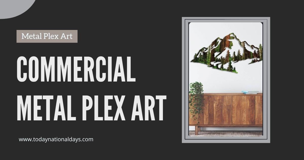 Commercial Metal Plex Art
