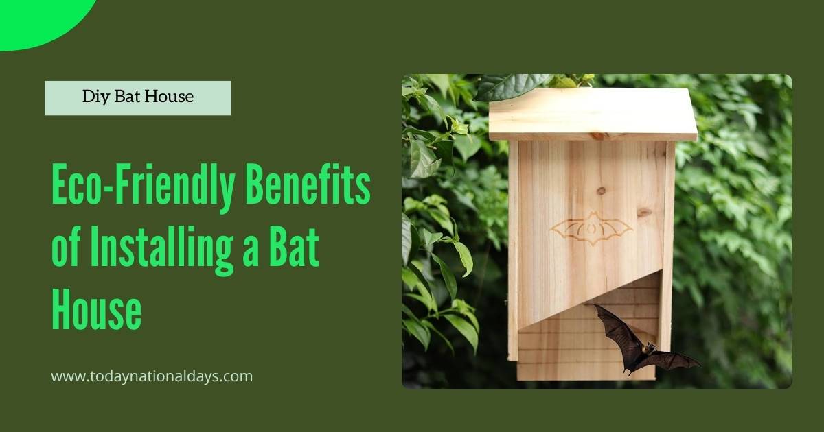 Eco-Friendly Bat House