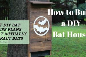 diy bat house plans
