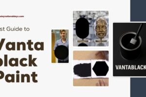 vantablack paint